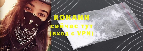 винт Анива