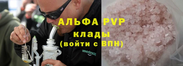 винт Анива