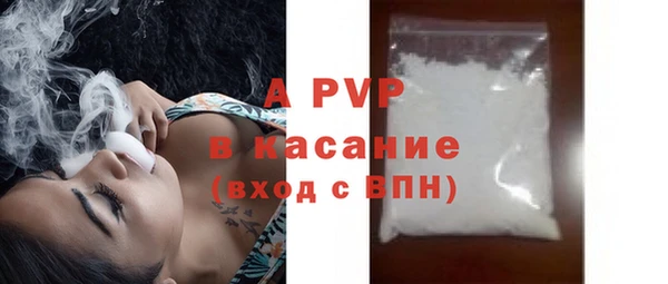 винт Анива