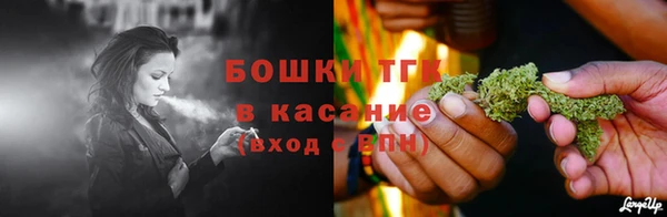 винт Анива