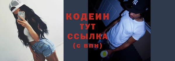 винт Анива