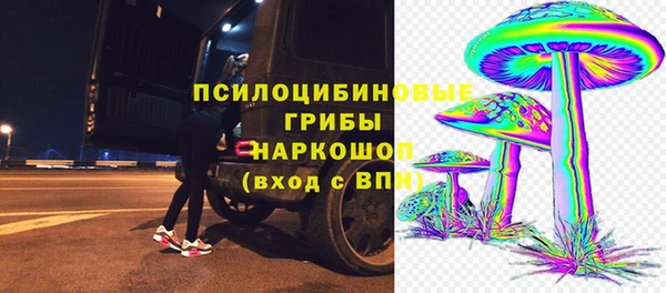 винт Анива