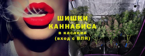 винт Анива