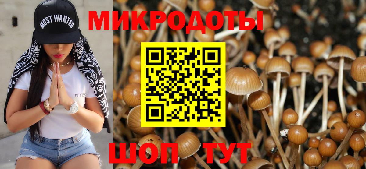 Псилоцибиновые грибы MAGIC MUSHROOMS Канск