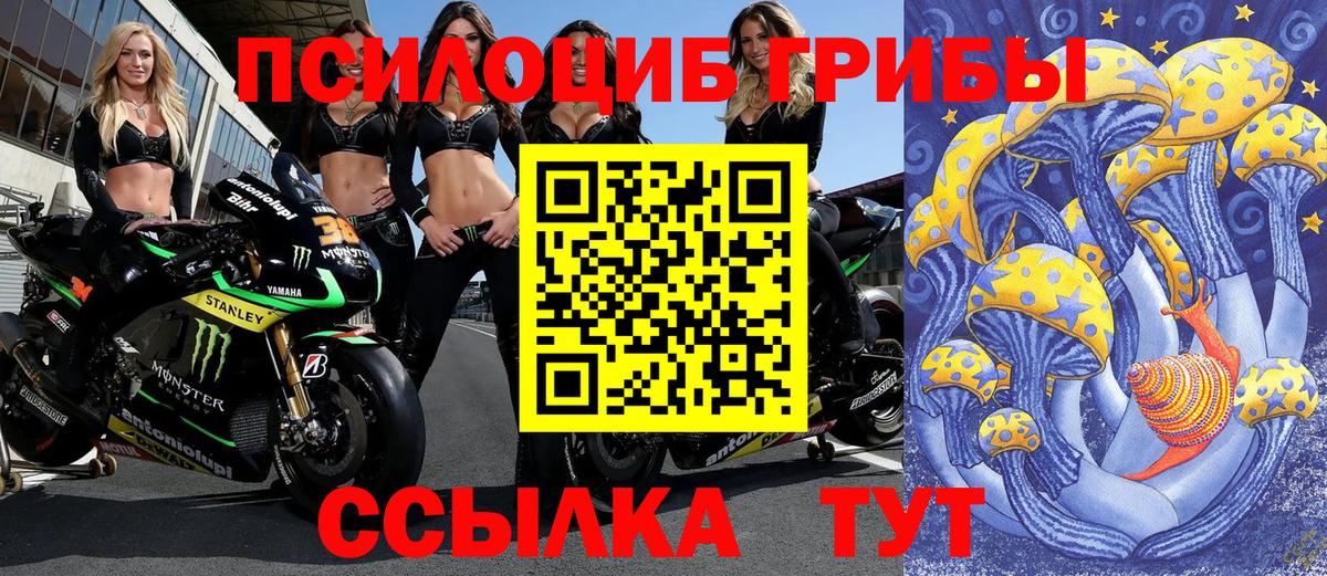 Псилоцибиновые грибы мухоморы  Вход с VPN  Канск 