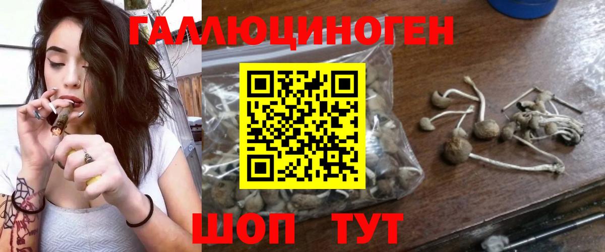 Канск  Псилоцибиновые грибы мухоморы  Вход с VPN 