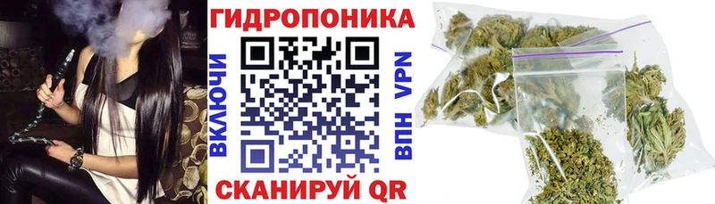 Шишки марихуана OG Kush  Канск 